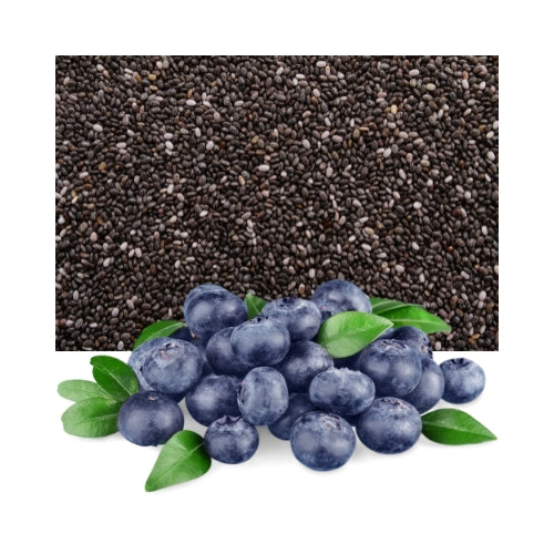 CHIA PUDDING HEIDELBEEREN