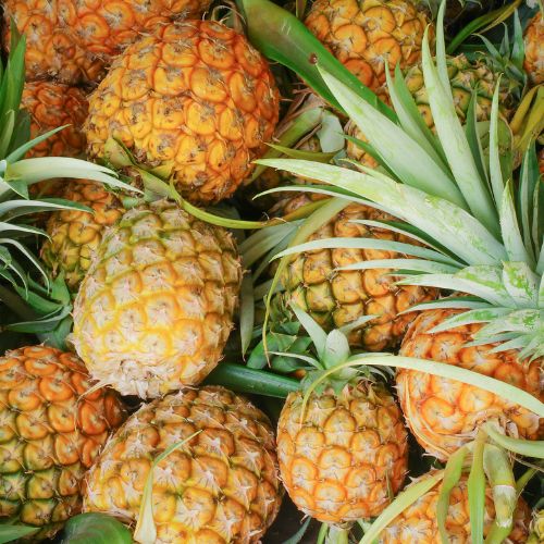 ANANAS