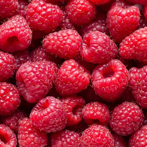 HIMBEEREN